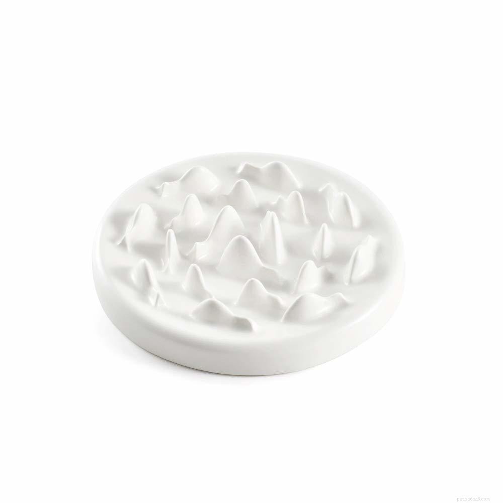 Top 10 Slow-Feeder Dog Bowls of 2022 – Boost Your Pet’s Health