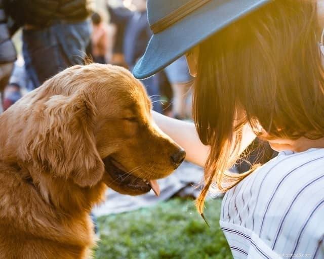 5 Common Mistakes Dog Owners Often Make — Avoid Them Today