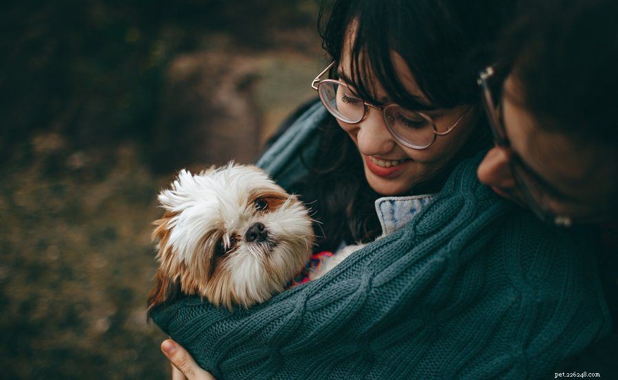 How to Make Your New Puppy’s First Night Comfortable and Safe