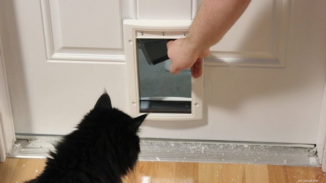 Top 10 Cold-Weather Cat Doors 2022: Expert Reviews & Buying Guide