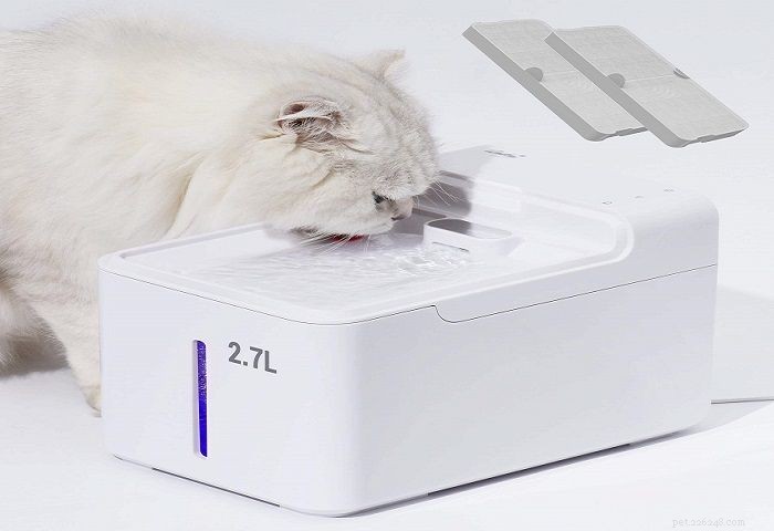 Laika Aqua Pet Water Fountain: A Trusted Review on Hydration and Convenience for Your Cat