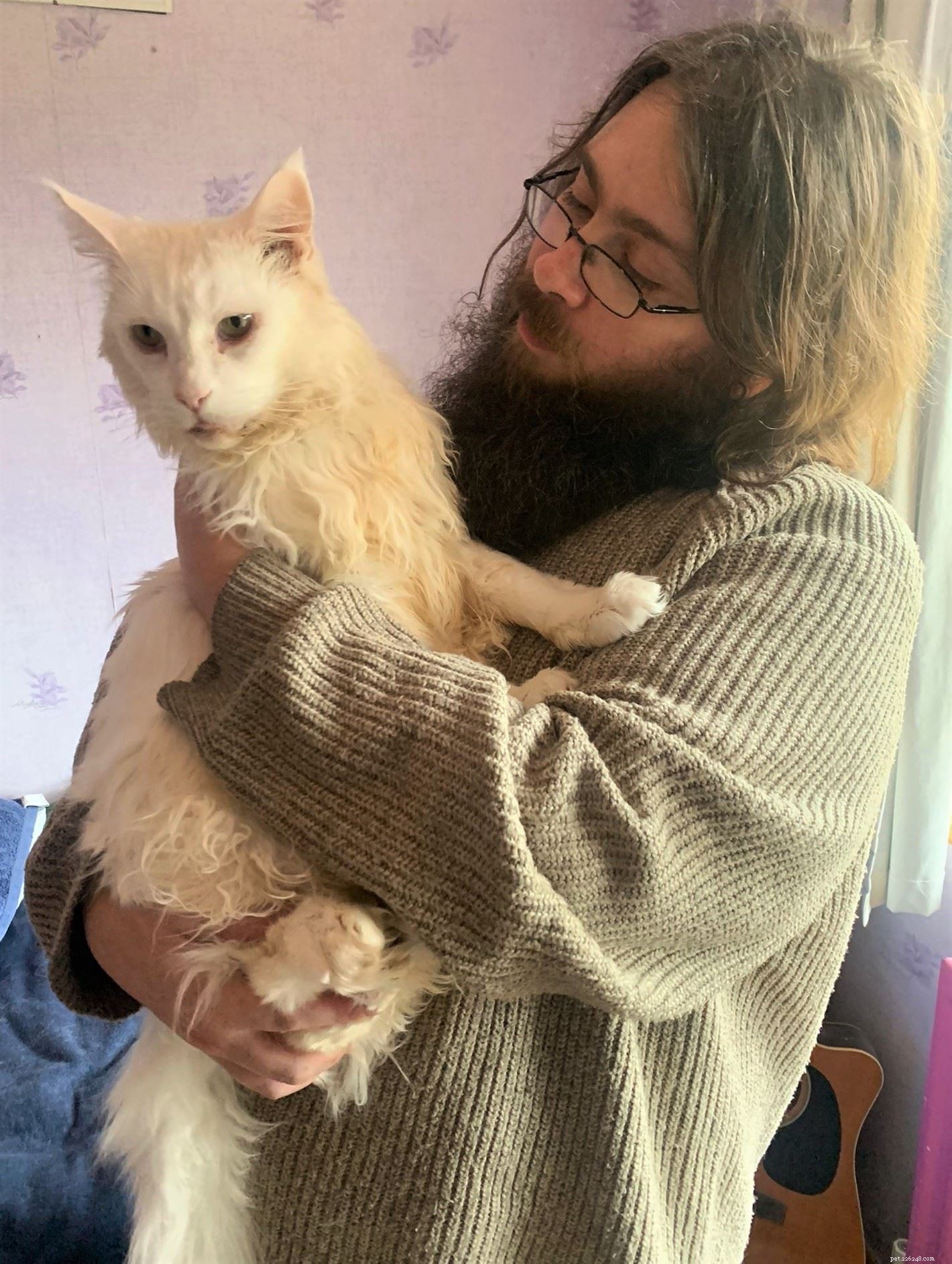 Microchip Miracle: North London Cat Returns After 5-Year Vanishing Act