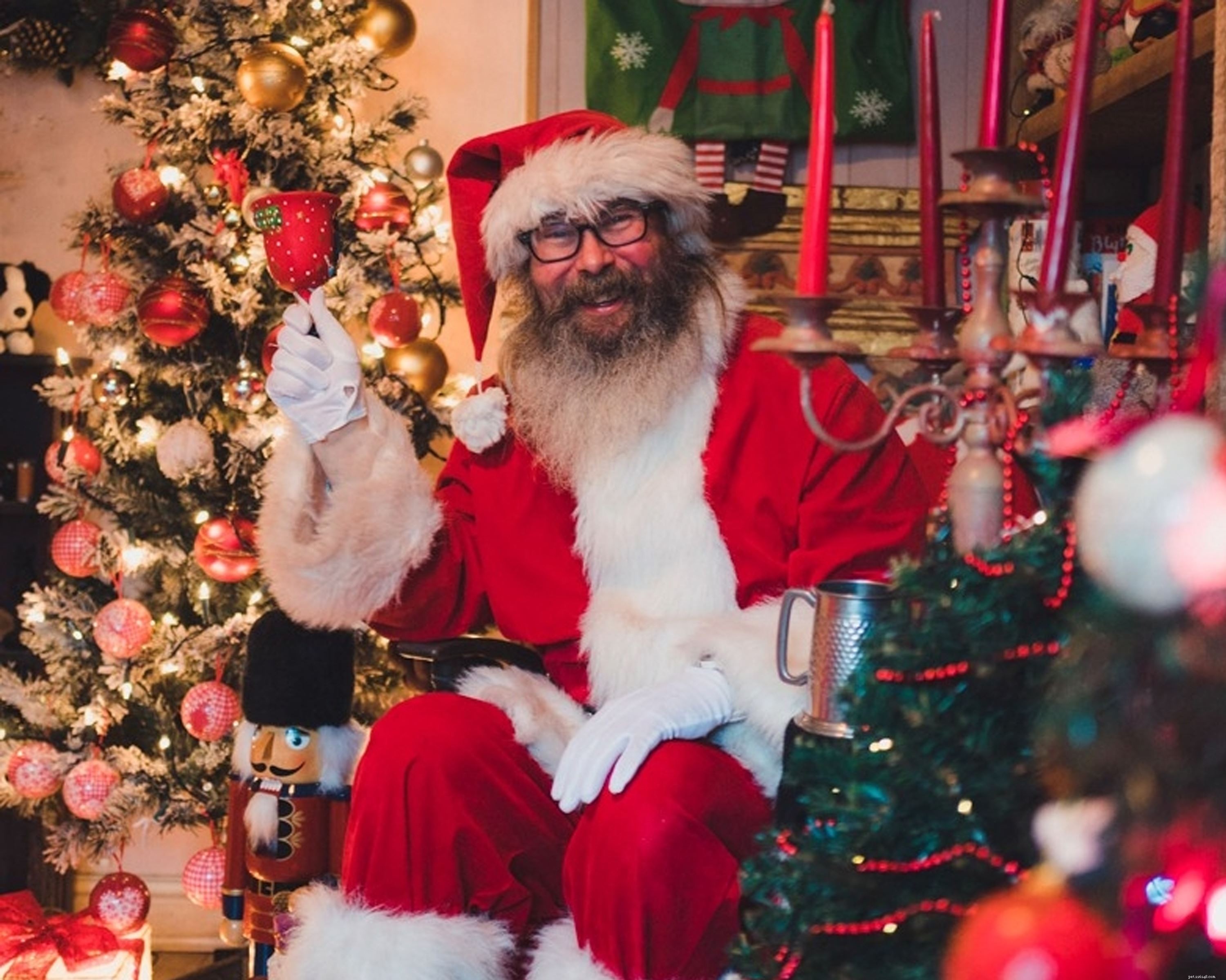 Cat Advocate Kevin Galer Brings Santa’s Magic to Vulnerable Children and Cats in Walsall