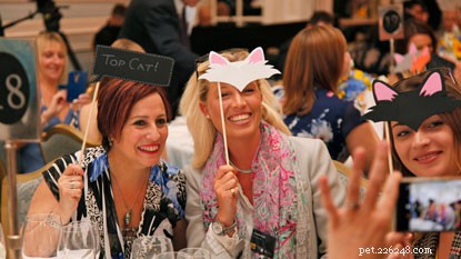 Behind the Scenes of the 2017 National Cat Awards