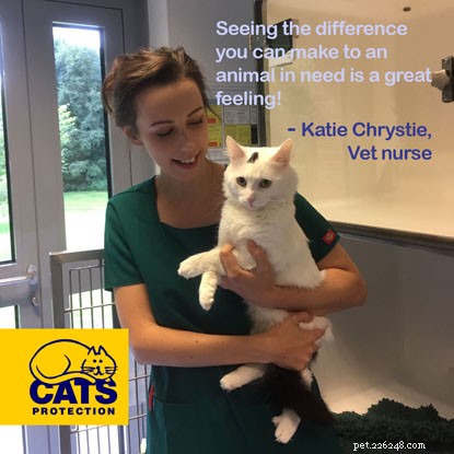 Inside the Life of a Veterinary Nurse: A Day in the Field