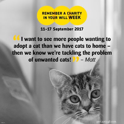 Help Us Care for Even More Cats—Your Support Shapes Their Future