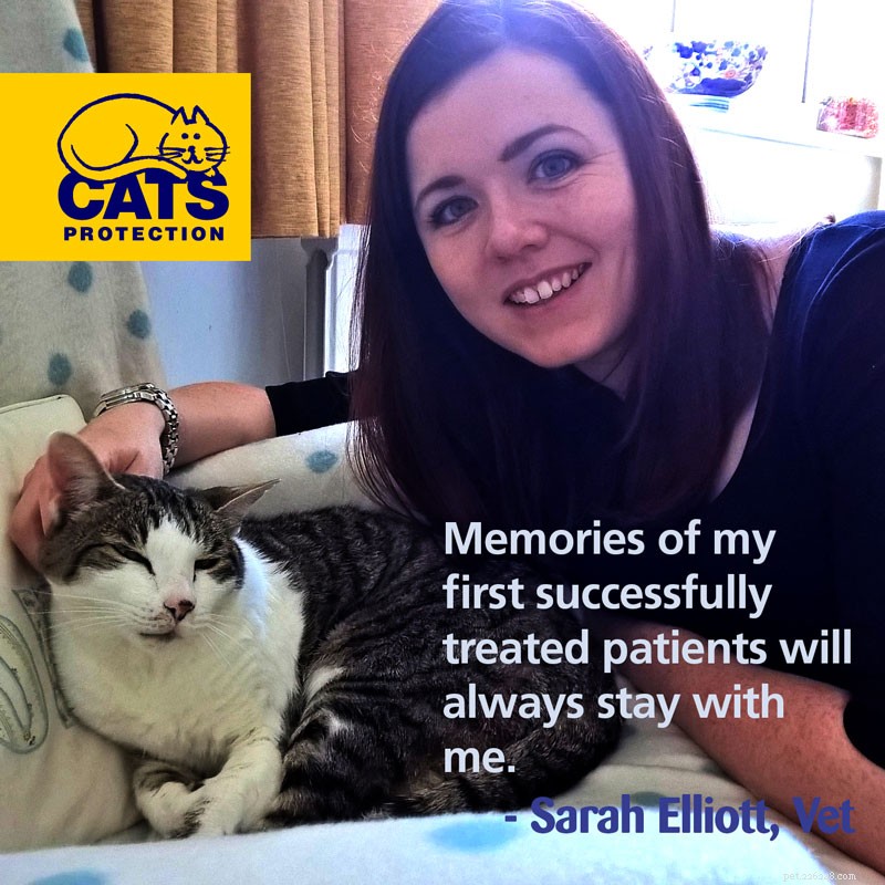 Pathway to Becoming a Veterinary Surgeon: Steps for Aspiring Vet Professionals