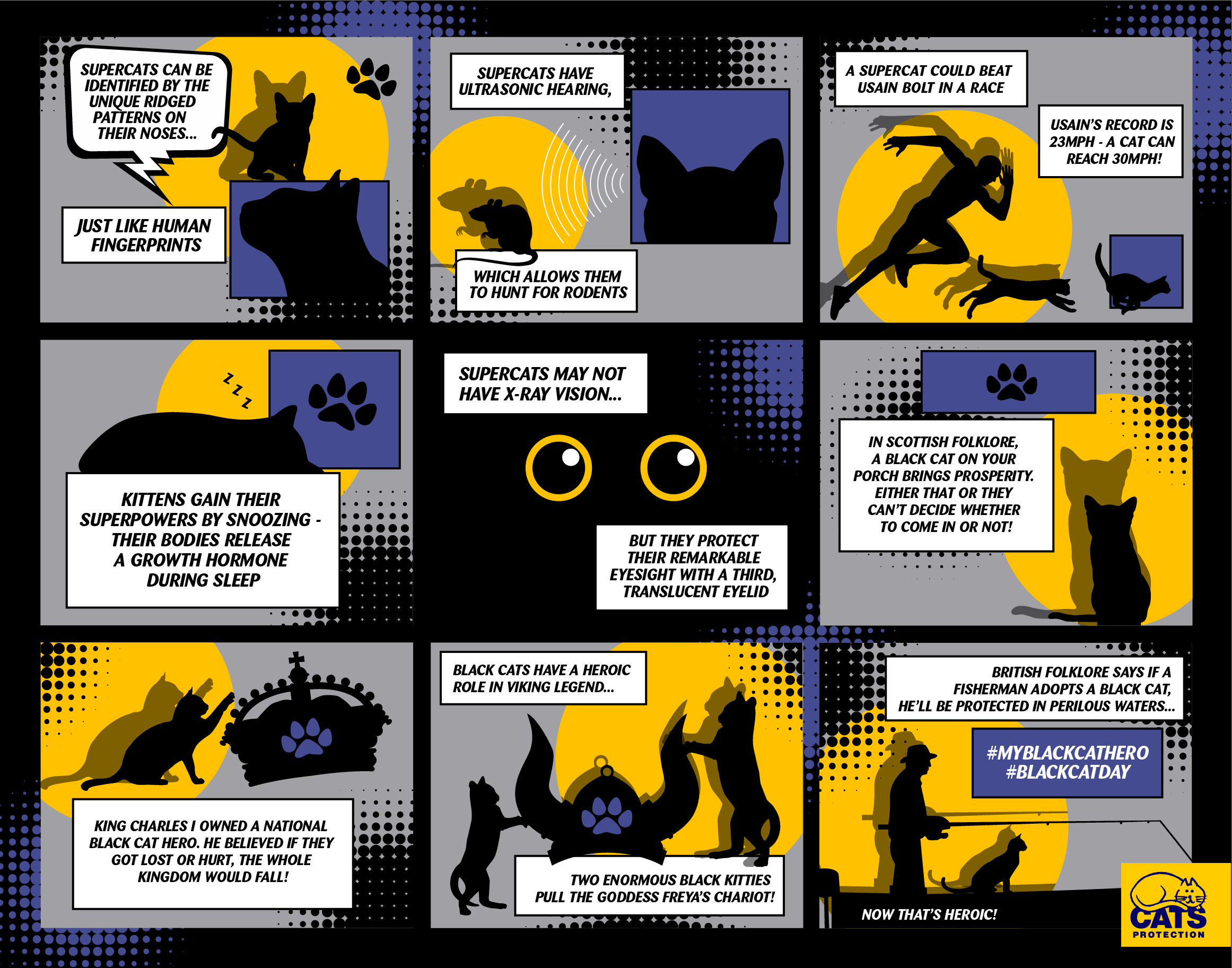 Honoring Black Cat Superheroes on National Black Cat Day