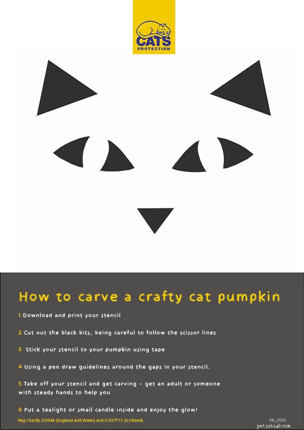 Create Stunning Cat-Themed Pumpkins with Our Free Printable Stencils