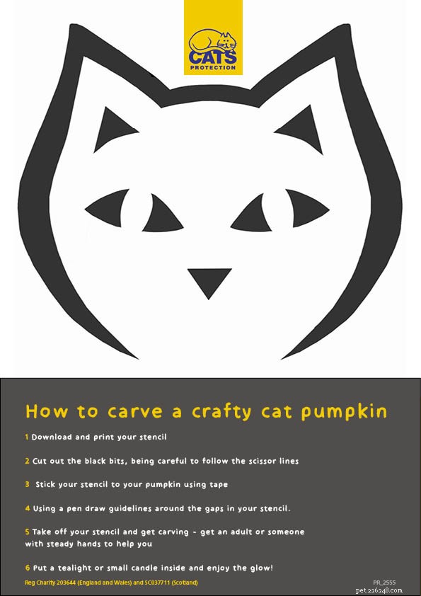 Create Stunning Cat-Themed Pumpkins with Our Free Printable Stencils
