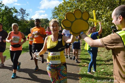 Save on 2019 Fundraising Events: Free Registration During Black Friday Sale