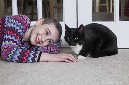 Submit Your Story: 2018 National Cat Awards Now Open for Entries