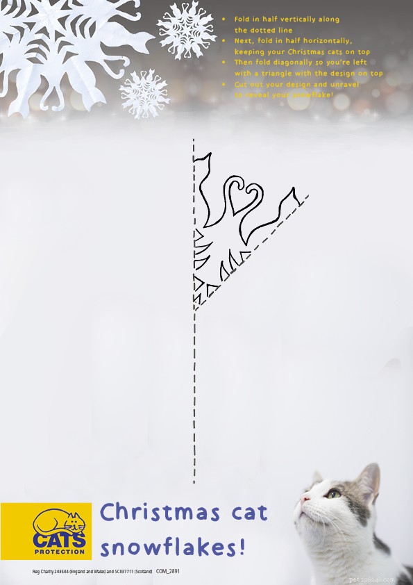 Holiday Countdown: Easy DIY Cat-Themed Snowflakes to Brighten Your Space
