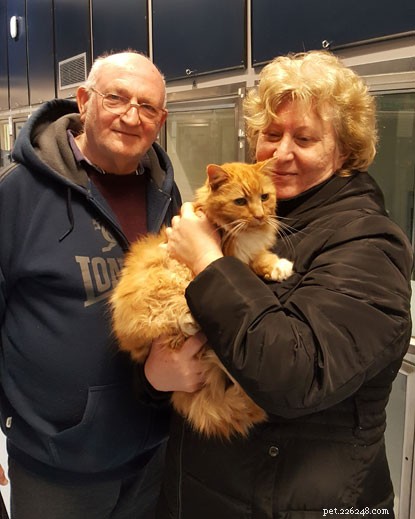 After 10 Years, Cat Owners Receive Long‑Awaited Call: Missing Cat Found