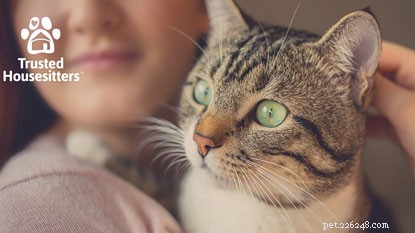 Top Vacation Destinations for Cat Enthusiasts