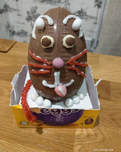 Purrfect Easter Treats: Baking Ideas for Cat Lovers