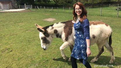 Introducing Our Donkey Volunteers at the National Cat Centre
