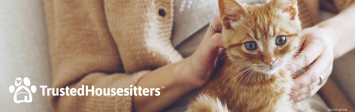 Ensure Your Cat s Care While You’re Away: Trusted Options for Peace of Mind