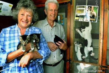 Volunteer Graham Hoult Earns Prestigious Special Recognition Award for Exceptional Cat Welfare Work