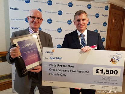 Volunteer Graham Hoult Earns Prestigious Special Recognition Award for Exceptional Cat Welfare Work