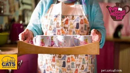 Find Your Ideal Tea Blend with Our Pawsome Afternoon Quiz
