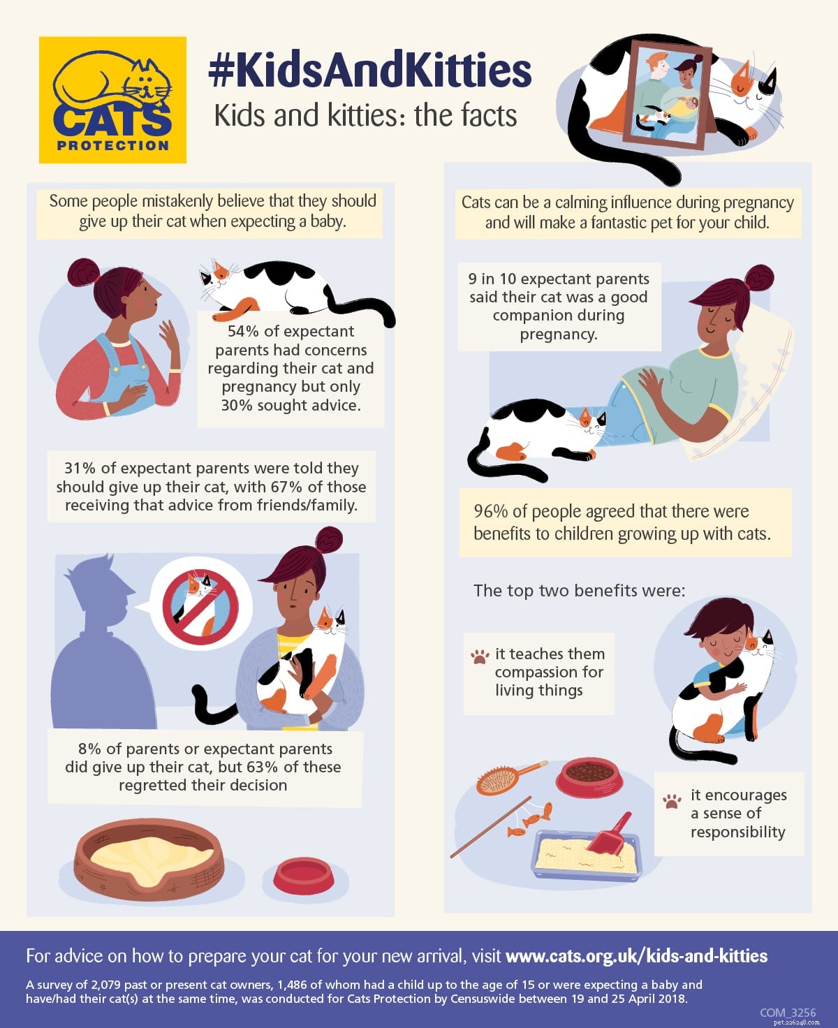 Keeping Your Cat Safe While Expecting a Baby: Myths Busted