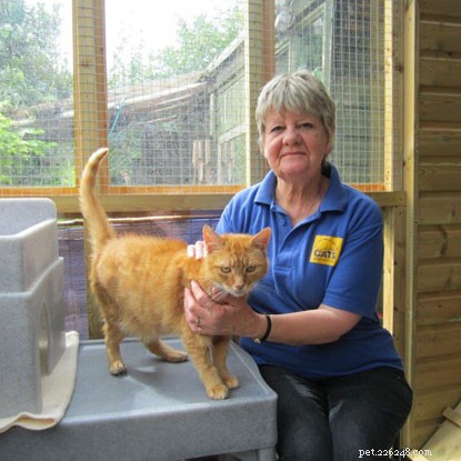 Dorothy Hyman: 70th Birthday Wing Walk at 130mph to Fundraise for Cats Protection