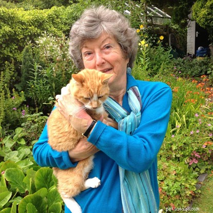 Dorothy Hyman: 70th Birthday Wing Walk at 130mph to Fundraise for Cats Protection