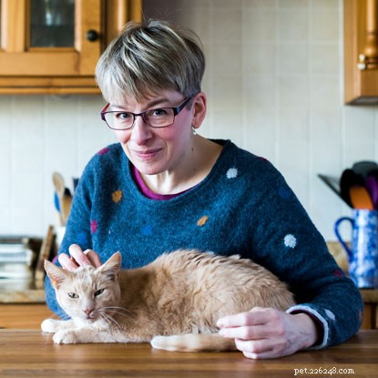 Microchip Traces Ringo Back to Owners After Five Years – A Heartwarming Success Story