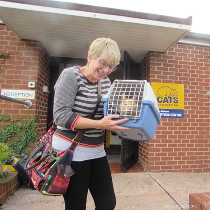 Microchip Traces Ringo Back to Owners After Five Years – A Heartwarming Success Story