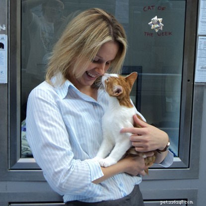 Is It Safe to Kiss Your Cat? Expert Nicky Trevorrow Weighs In