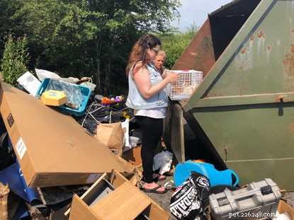 Swansea Radio Staff Rescue Five Kittens From Skip: A Heartwarming Rescue Story