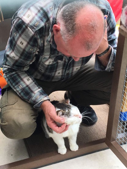 From Battle-Scarred Stray to Beloved Home: Fergal Finds His Forever Family