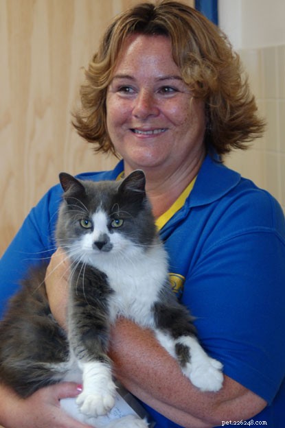 How Rescuing a Stray Cat Changed Shane s Life