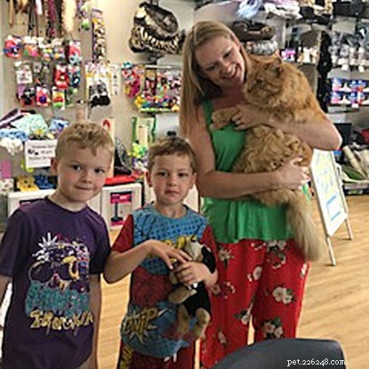 Five Years Apart: How Hannah’s Determination Reunited Her With Her Lost Ginger Cat
