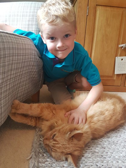 Five Years Apart: How Hannah’s Determination Reunited Her With Her Lost Ginger Cat