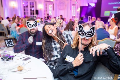 Highlights from the 2018 National Cat Awards Gala