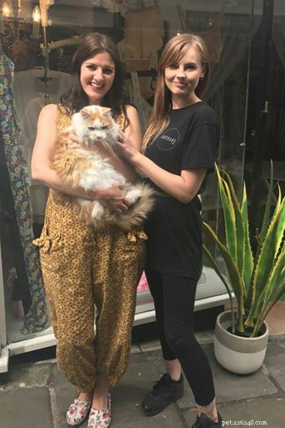 How a Cat Unites Neighbors: The Unexpected Story of Lucy and Truly