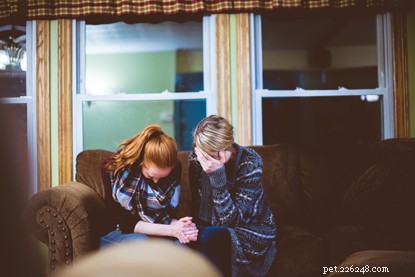 Supporting a Loved One Through the Grief of Losing Their Cat