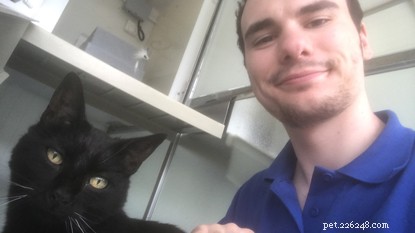 How Volunteering with Cats Protection Benefits Students