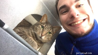 How Volunteering with Cats Protection Benefits Students