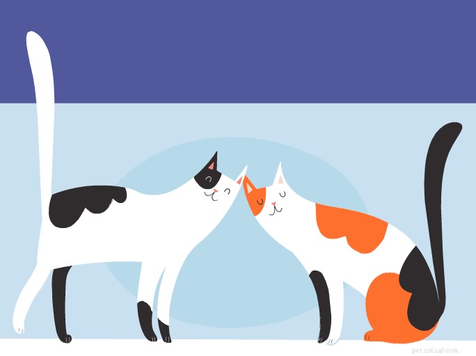 Discover the Fascinating History of Cats – From Ancient Egypt to Modern Times