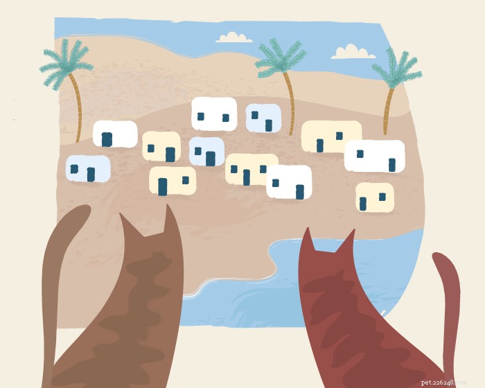 Discover the Fascinating History of Cats – From Ancient Egypt to Modern Times