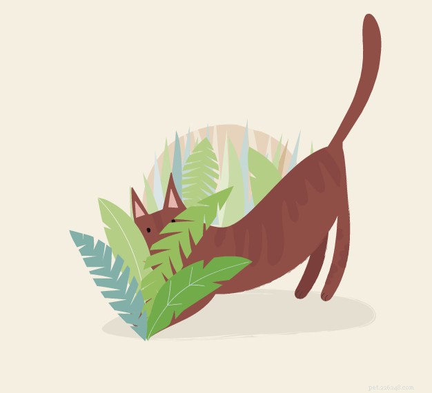 Discover the Fascinating History of Cats – From Ancient Egypt to Modern Times