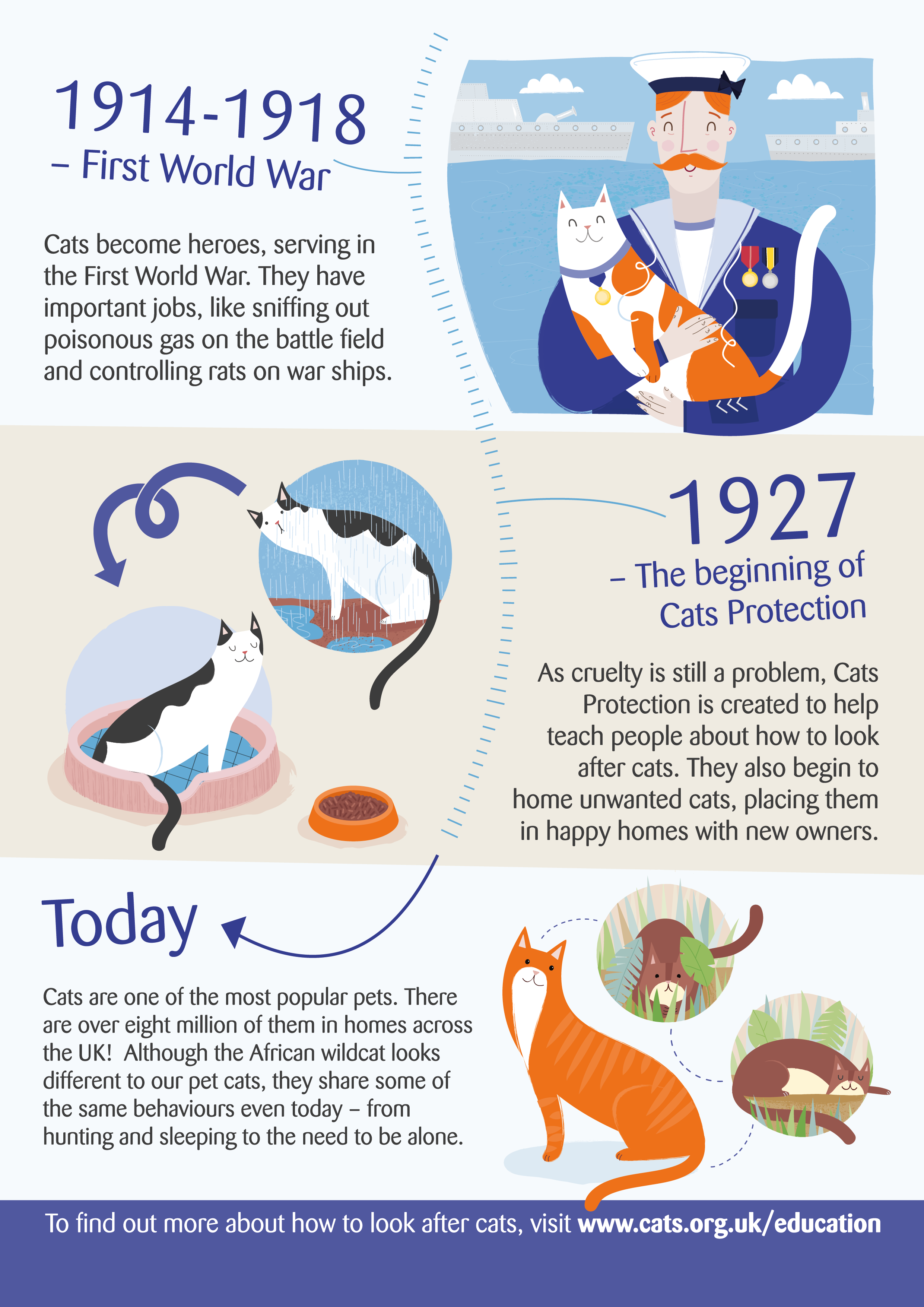 Discover the Fascinating History of Cats – From Ancient Egypt to Modern Times