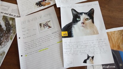 Welsh Schools Teach Kids Cat Welfare: Community Education Initiative