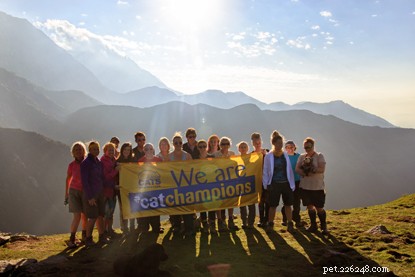 Cat Champions Trek the Himalayas to Fund Tiger Conservation and Stray Cats