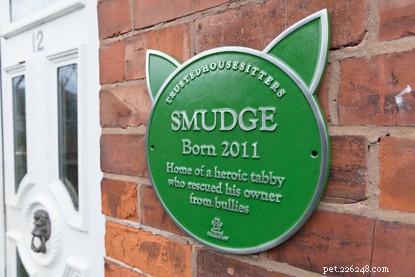 Nominate Your Cat for a Green Pet Plaque Honor!