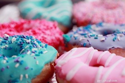 Do Cats Taste Sweetness? Why They Lack a Sweet Tooth