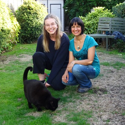 The Inspiring Story of a Beautiful Black Cat Who Transformed Her Owner’s Life